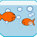 small-pond
