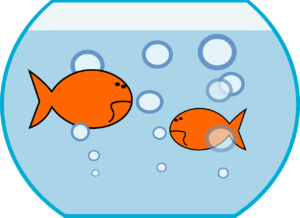 small-pond